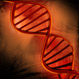 Mutacja DNA 1.jpg
